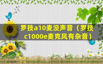 罗技a10麦没声音（罗技c1000e麦克风有杂音）