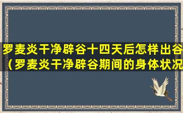 罗麦炎干净辟谷十四天后怎样出谷（罗麦炎干净辟谷期间的身体状况）