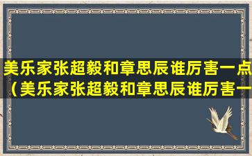 美乐家张超毅和章思辰谁厉害一点（美乐家张超毅和章思辰谁厉害一点啊）