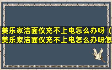 美乐家洁面仪充不上电怎么办呀（美乐家洁面仪充不上电怎么办呀怎么解决）