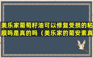 美乐家葡萄籽油可以修复受损的粘膜吗是真的吗（美乐家的葡安素真的可以降血糖吗）