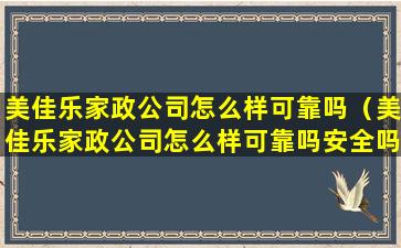 美佳乐家政公司怎么样可靠吗（美佳乐家政公司怎么样可靠吗安全吗）