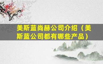 美斯蓝尚赫公司介绍（美斯蓝公司都有哪些产品）