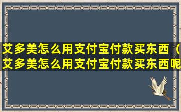 艾多美怎么用支付宝付款买东西（艾多美怎么用支付宝付款买东西呢）