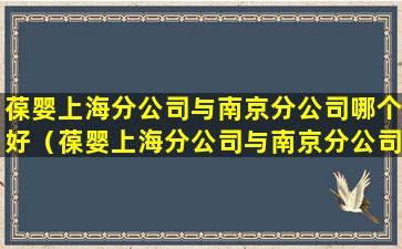 葆婴上海分公司与南京分公司哪个好（葆婴上海分公司与南京分公司哪个好一点）