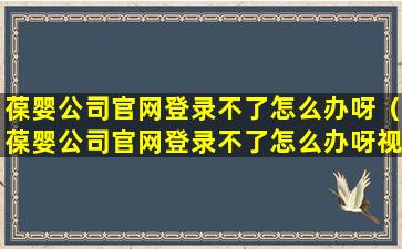 葆婴公司官网登录不了怎么办呀（葆婴公司官网登录不了怎么办呀视频）