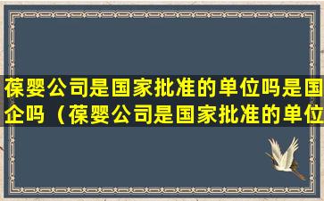 葆婴公司是国家批准的单位吗是国企吗（葆婴公司是国家批准的单位吗是国企吗还是私企）