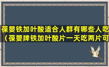 葆婴铁加叶酸适合人群有哪些人吃（葆婴牌铁加叶酸片一天吃两片可以吗）