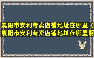 襄阳市安利专卖店铺地址在哪里（襄阳市安利专卖店铺地址在哪里啊电话）