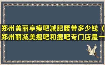 郑州美丽享瘦吧减肥腰带多少钱（郑州丽减美瘦吧和瘦吧专门店是一家吗）