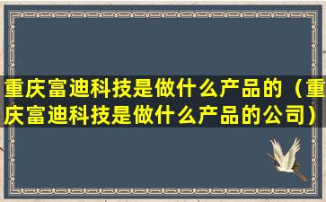 重庆富迪科技是做什么产品的（重庆富迪科技是做什么产品的公司）