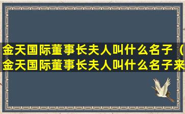 金天国际董事长夫人叫什么名子（金天国际董事长夫人叫什么名子来着）