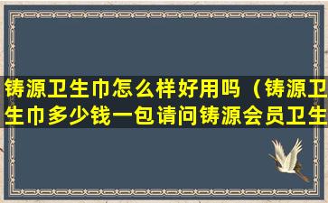 铸源卫生巾怎么样好用吗（铸源卫生巾多少钱一包请问铸源会员卫生巾多少钱）