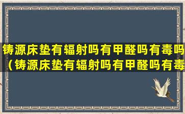 铸源床垫有辐射吗有甲醛吗有毒吗（铸源床垫有辐射吗有甲醛吗有毒吗安全吗）