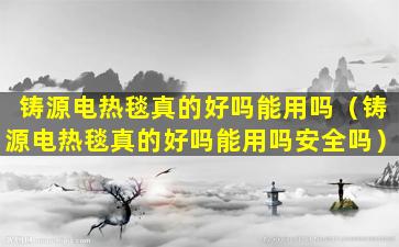 铸源电热毯真的好吗能用吗（铸源电热毯真的好吗能用吗安全吗）