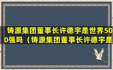 铸源集团董事长许德宇是世界500强吗（铸源集团董事长许德宇是世界500强吗知乎）